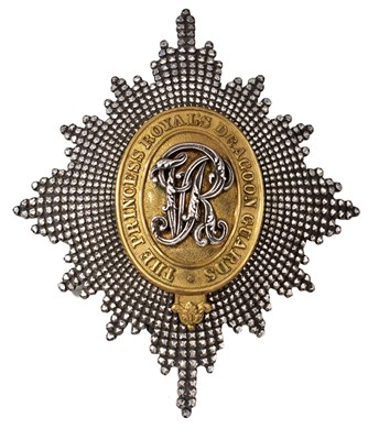 Lot 449 - A 7TH PRINCESS ROYAL'S DRAGOON GUARDS OFFICER'S 1871 PATTERN HELMET PLATE
