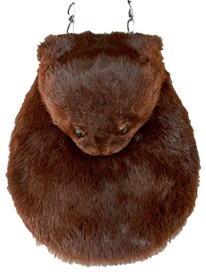 Lot 680 - A SCOTTISH OTTER MASK SPORRAN