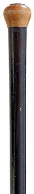 Lot 713 - A RARE 19TH CENTURY SWORD STICK