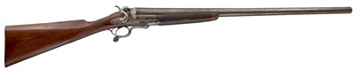 Lot 445 - A 7-BORE HAMMER GUN