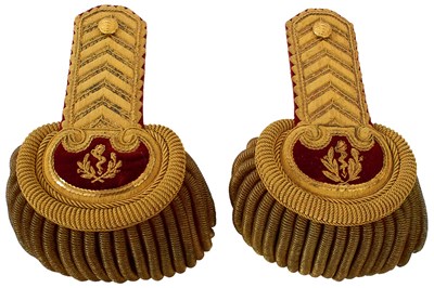 Lot 689 - A PAIR OF EARLY 20TH CENTURY FRENCH GENERAL INSPECTOR OF MEDECINE EPAULETTES