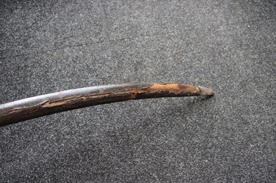 Lot 68 - A 19TH CENTURY INDIAN TULWAR
