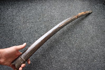 Lot 68 - A 19TH CENTURY INDIAN TULWAR