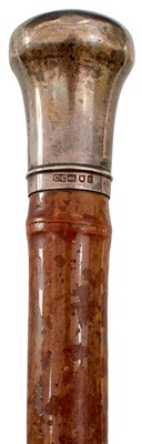 Lot AN EDWARDIAN SWORD STICK BY BRIGG